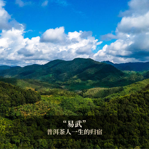 【古寨秘境五星级】斗茶金奖得主，店铺标杆巨作古粉必抢，前期拓口碑补贴发售，真好茶真好喝 商品图1