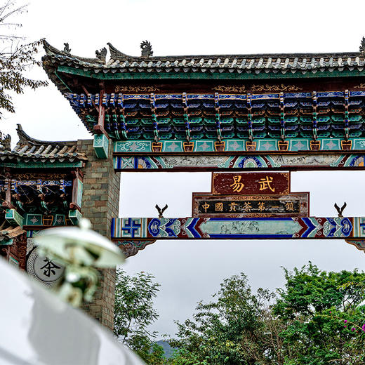 【古寨秘境五星级】斗茶金奖得主，店铺标杆巨作古粉必抢，前期拓口碑补贴发售，真好茶真好喝 商品图2