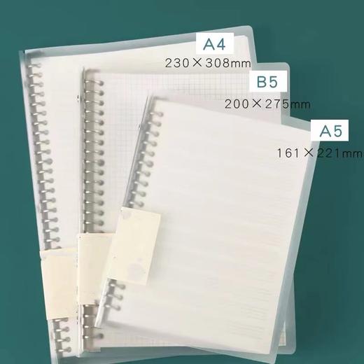 A4大号初中高中学生英语活页笔记本16k英语四线三格本b5英文单词本A5可拆卸加厚大号英语线圈本可加页小学生 商品图0