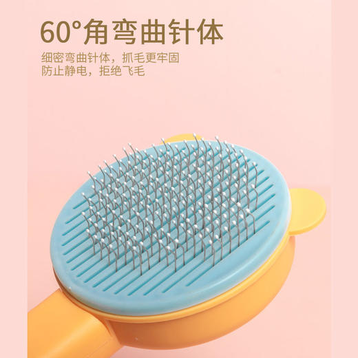 新款熊头拼色自洁梳 祛毛梳 按摩去浮毛宠物用品批发 商品图1