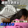 【花渐团购】植物花草枕头 鼻炎人必备 商品缩略图2
