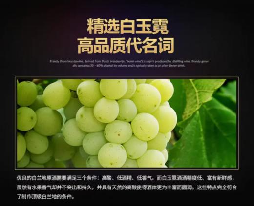 【中欧班列直供】法国威尼登佰喜太阳王路易十四XO白兰地 700ml/瓶   原装进口 商品图3