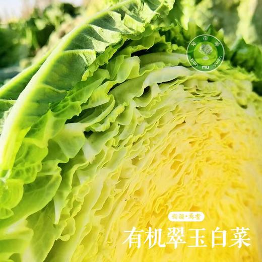 有机翠玉白菜（半亩园有机农场 ） 商品图4
