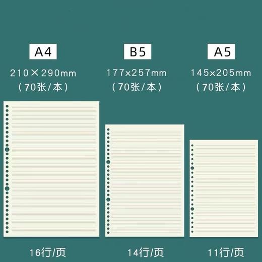 A4大号初中高中学生英语活页笔记本16k英语四线三格本b5英文单词本A5可拆卸加厚大号英语线圈本可加页小学生 商品图4