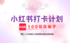 小红书打卡计划｜100位花仙子 商品缩略图0