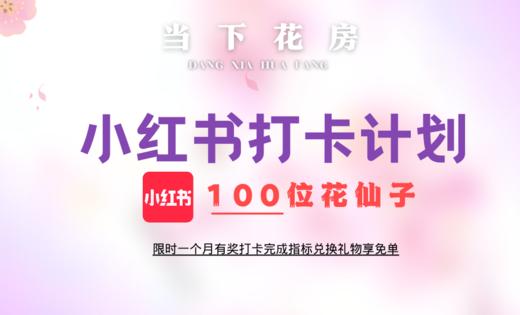 小红书打卡计划｜100位花仙子 商品图0