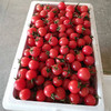 有机樱桃小番茄5斤装 商品缩略图1