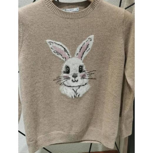 3楼  皮皮狗圆领提花童装 商品图0