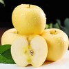 【奶油富士】香甜爽口 果肉细腻 香味浓郁 纯生态种植 完美诠释大自然的回馈 3种规格任选 商品缩略图0