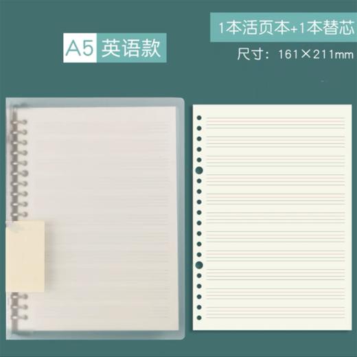 A4大号初中高中学生英语活页笔记本16k英语四线三格本b5英文单词本A5可拆卸加厚大号英语线圈本可加页小学生 商品图5