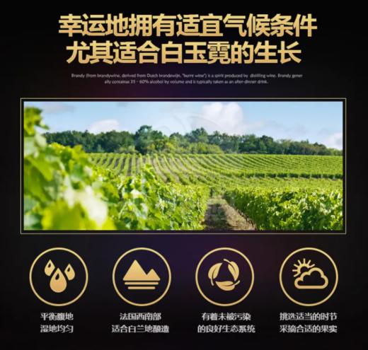 【中欧班列直供】法国威尼登佰喜太阳王路易十四XO白兰地 700ml/瓶   原装进口 商品图4