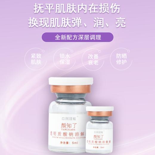 胶原蛋白舒缓冻干粉+透明质酸钠溶解液 深度补水 活肤 滋润保湿 7对/盒 酵醒肌肤 商品图2