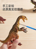 mideer弥鹿恐龙玩具侏罗纪仿真动物模型霸王龙翼龙套装儿童益智 商品缩略图2
