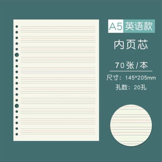 A4大号初中高中学生英语活页笔记本16k英语四线三格本b5英文单词本A5可拆卸加厚大号英语线圈本可加页小学生 商品图13