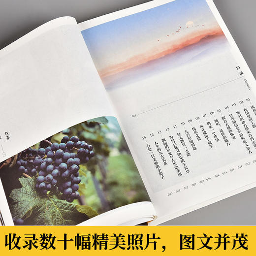 欣喜是自酿的 商品图2