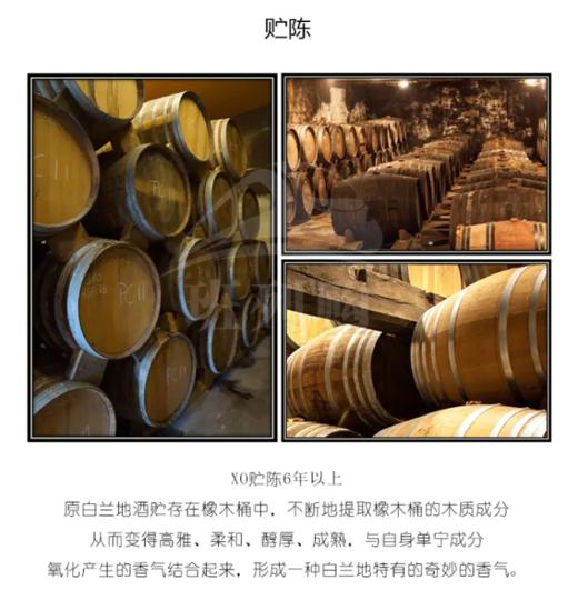 【中欧班列直供】法国威尼登佰喜太阳王路易十四XO白兰地 700ml/瓶   原装进口 商品图6