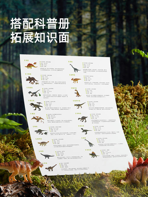 mideer弥鹿恐龙玩具侏罗纪仿真动物模型霸王龙翼龙套装儿童益智 商品图1