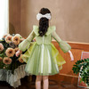 DY-708儿童礼服裙小女孩蓬蓬纱花童主持人钢琴演出服秋季女童连衣裙 商品缩略图2