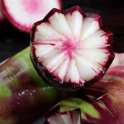 紫玉冰糖心萝卜 商品图0