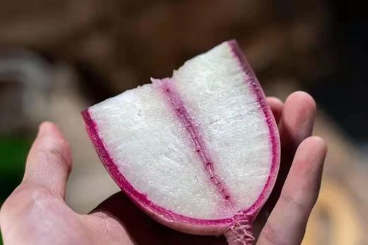 紫玉冰糖心萝卜 商品图2