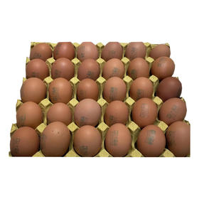 【亚欧超市】正大鲜鸡蛋30枚带蛋托