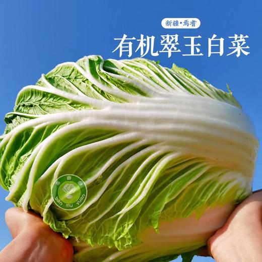 有机翠玉白菜（半亩园有机农场 ） 商品图0
