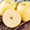 【奶油富士】香甜爽口 果肉细腻 香味浓郁 纯生态种植 完美诠释大自然的回馈 3种规格任选 商品缩略图1