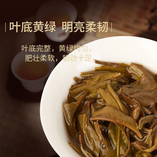 华祥苑 百年藏仓-357g勐宋正山普洱茶（2021年，生茶） 商品图4