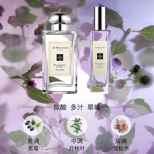 英国 JoMalone祖玛珑 黑莓与月桂叶香水 30ml 商品图1