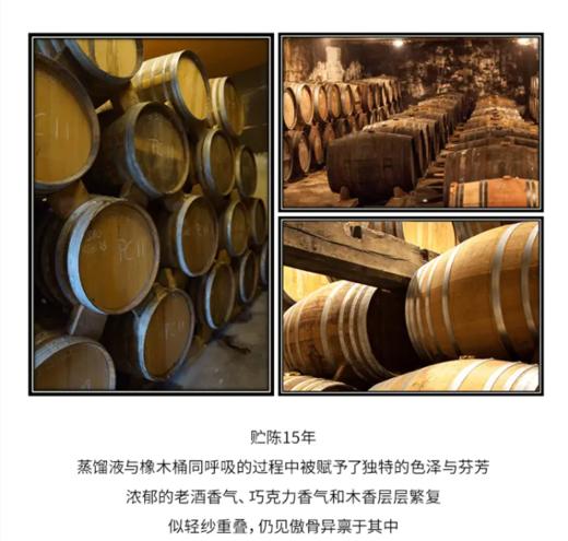 【中欧班列直供】法国威尼登佰喜赫克托耳EXTRA白兰地 700ml/瓶 原装进口 商品图8
