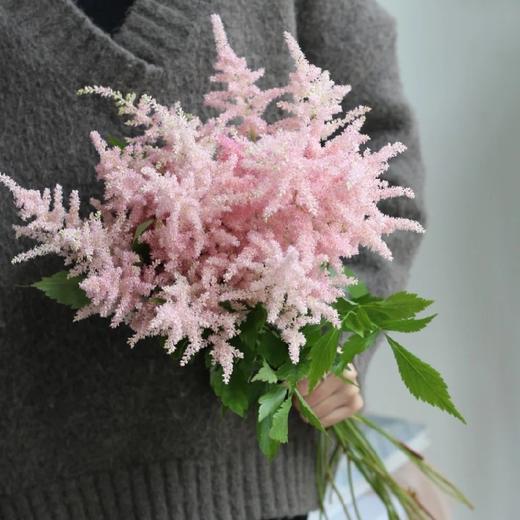 配花-络新妇-粉色-10枝/扎 商品图0