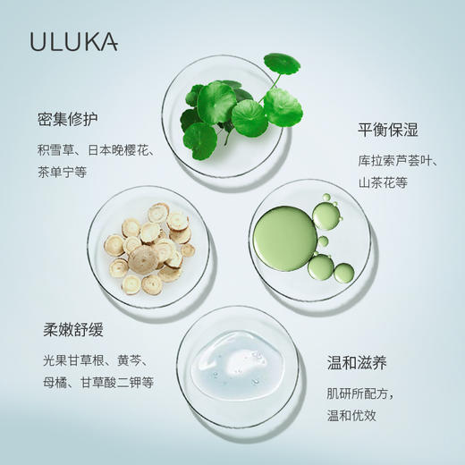 ULUKA集中修复精华30ml 商品图2