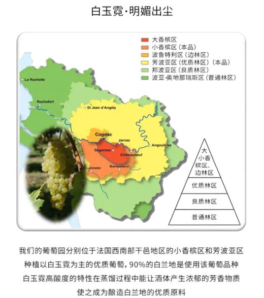【中欧班列直供】法国 威尼登佰喜 男爵VSOP白兰地 700ml/瓶 原装进口 商品图3