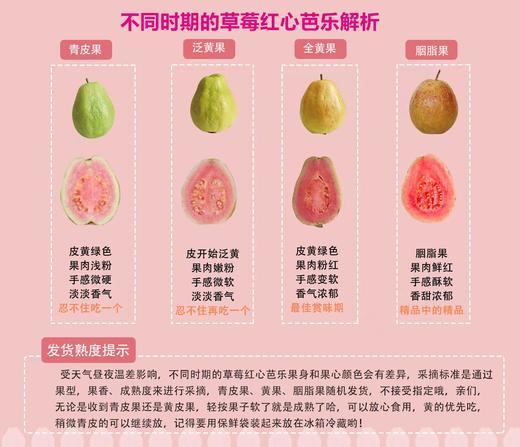 奶油/红心芭乐，口感软软糯糯滴，香气馥郁，轻食界的百搭小仙女 商品图7