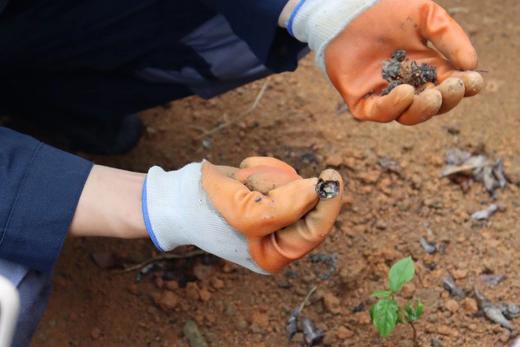 [2022年双十一活动满赠礼]春浦茶生茶山游学名额 商品图5