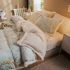 冬季珊瑚绒牛奶绒加厚毛绒绒床单羊羔绒四件套FYJ- YDGN 商品缩略图0