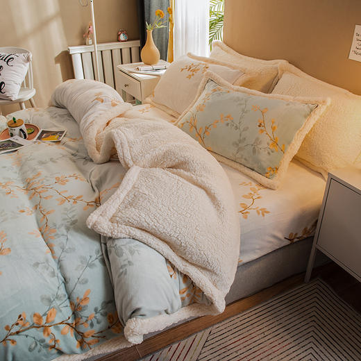 冬季珊瑚绒牛奶绒加厚毛绒绒床单羊羔绒四件套FYJ- YDGN 商品图0