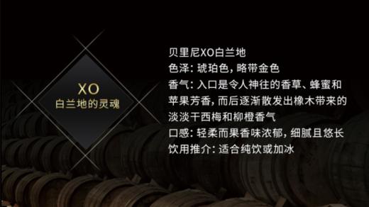 【中欧班列直供】法国威尼登佰喜贝里尼XO白兰地 750ml/瓶  原装进口 商品图8