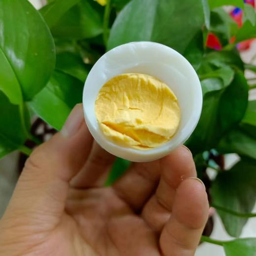 【产地直发】连城白鹭鸭蛋  唯一药用蛋  一颗具有药用价值的贡品白鹭鸭蛋   商品图6