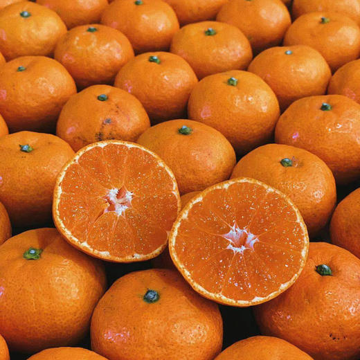 【下单后48小时发货】浙江台州 涌泉蜜桔5斤装左右/10斤装左右 商品图10
