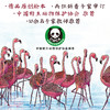 一起跳舞的火烈鸟 商品缩略图3