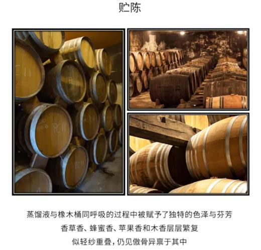【中欧班列直供】法国威尼登佰喜贝里尼XO白兰地 750ml/瓶  原装进口 商品图6