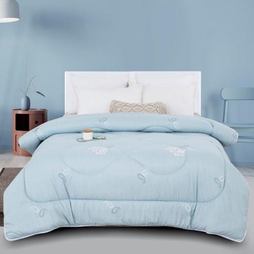 恒源祥 阳光澳绒舒适被芯 商品图0