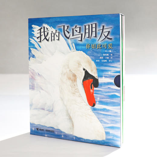 一起跳舞的火烈鸟 商品图2