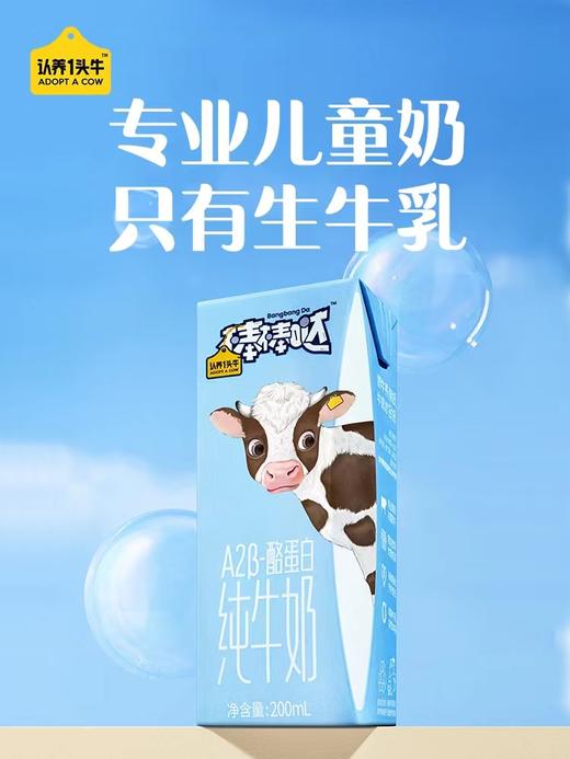 认养一头牛A2儿童纯牛奶200ml*10盒2提 商品图2