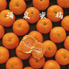 【下单后48小时发货】浙江台州 涌泉蜜桔5斤装左右/10斤装左右 商品缩略图1