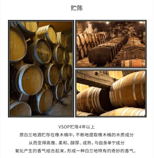 【中欧班列直供】法国 威尼登佰喜 男爵VSOP白兰地 700ml/瓶 原装进口 商品图6