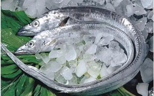 挑选带鱼技巧，这4种白给都别要！ 商品图0