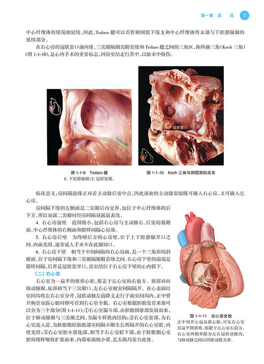 心血管外科学 国家卫生健康委员会专科医师培训规划教材 心脏解剖常用药物检查方法病例解析 张宏家 人民卫生出版社9787117317344 商品图4