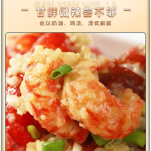 好人家蒜蓉小龙虾调料 300g/包 商品图1